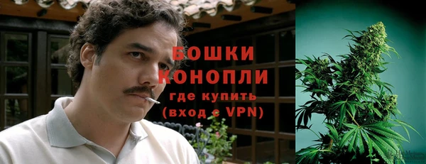трава Алзамай