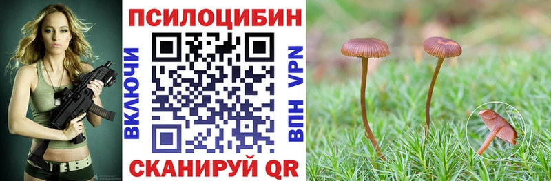 Галлюциногенные грибы GOLDEN TEACHER  omg как зайти  Тулун  продажа наркотиков 
